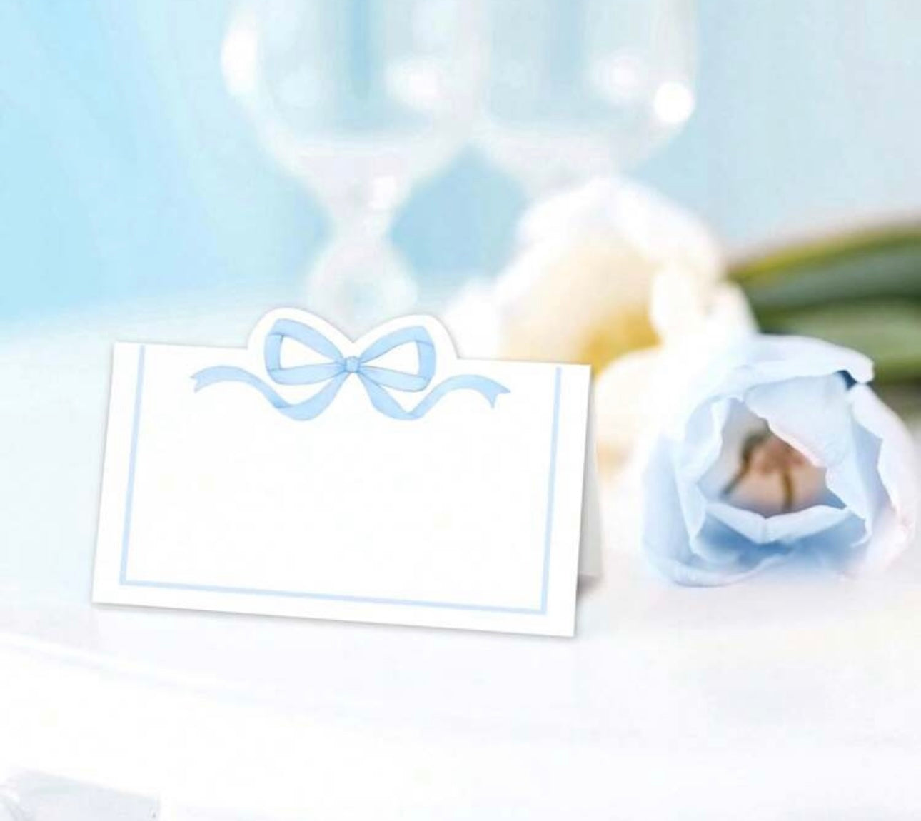 Table Seating Name Cards x 50