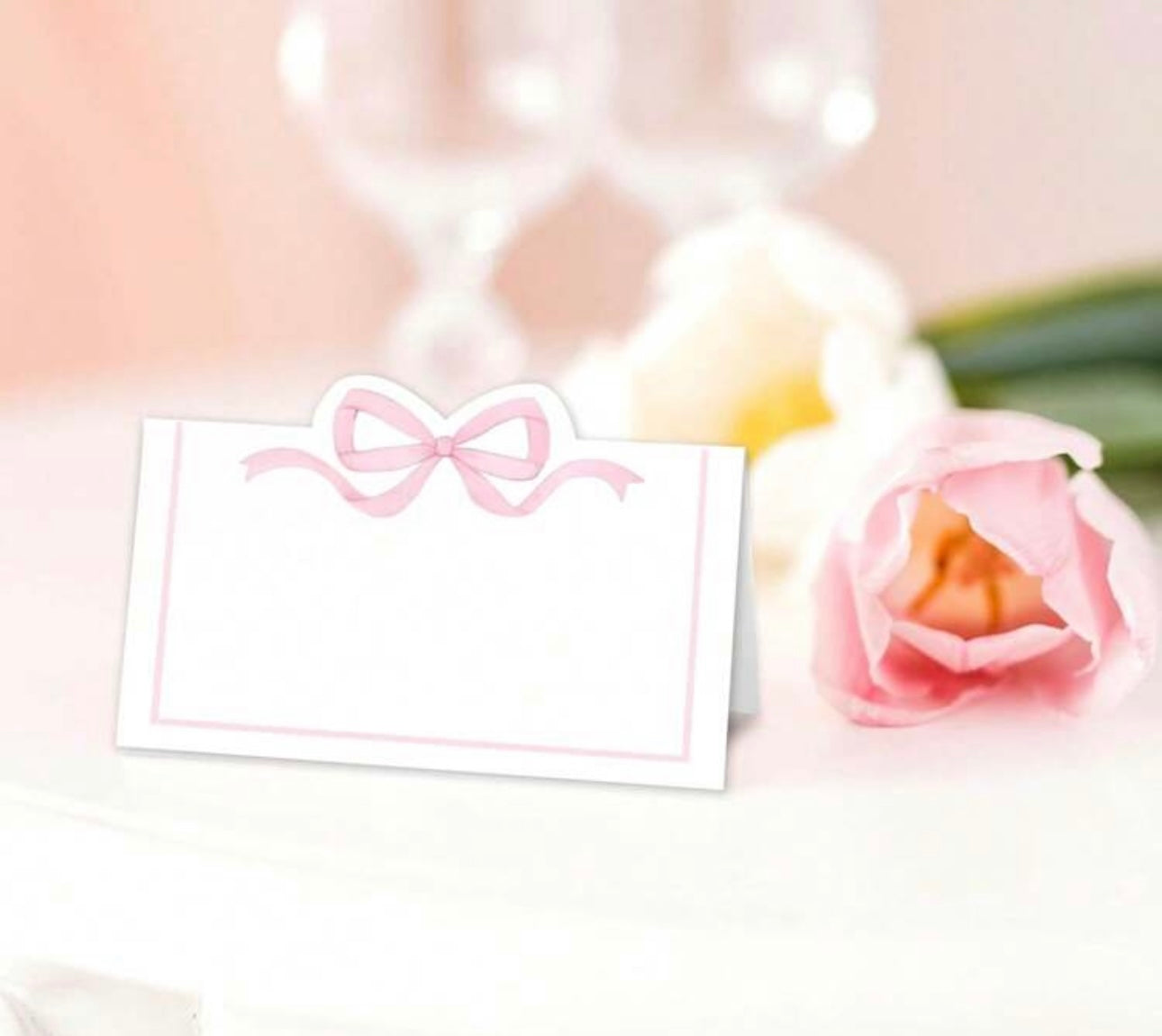 Table Seating Name Cards x 50